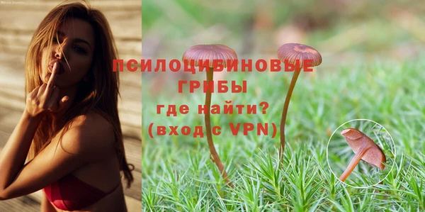 мдпв Приозерск