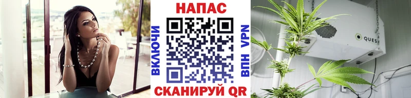 Марихуана конопля  Купить где  Среднеколымск 